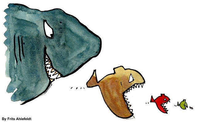 fish